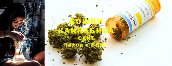 сатива Горняк