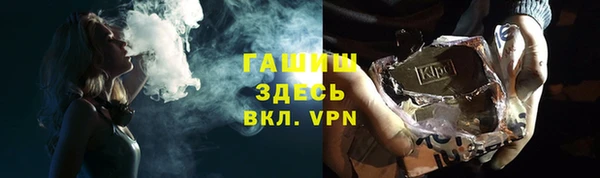 сатива Горняк