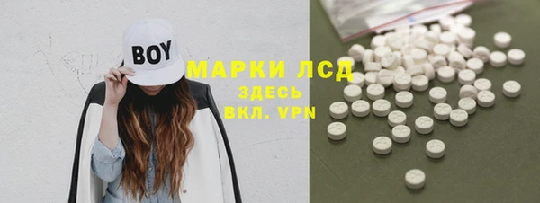 сатива Горняк