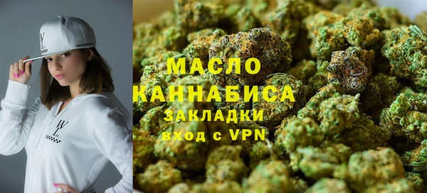 сатива Горняк