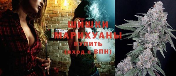 сатива Горняк