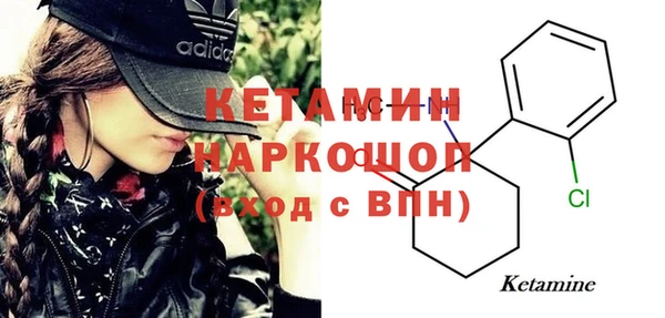 сатива Горняк