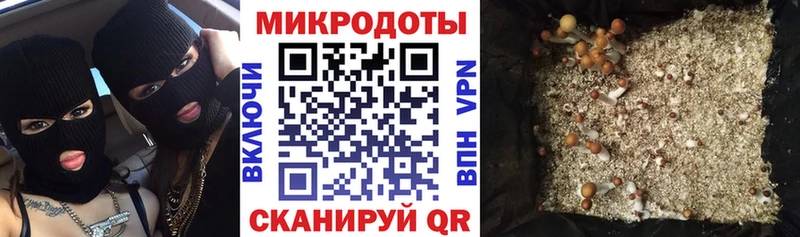 Купить закладки  Пыть-Ях  Псилоцибиновые грибы Psilocybe 